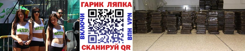 ГАШ Ice-O-Lator  блэк спрут ссылки  Староминская 