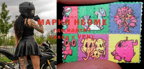 тгк Пересвет
