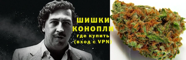 ГАЛЛЮЦИНОГЕННЫЕ ГРИБЫ Арсеньев
