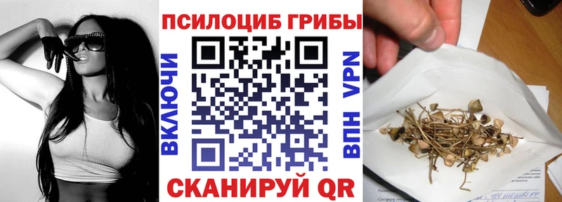 Галлюциногенные грибы GOLDEN TEACHER  МЕГА как войти  Староминская  наркота 